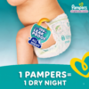 Pampers Baby dry diaper pants Large, L 64 Pieces( Pack of 2)