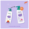 Himalaya Baby shampoo